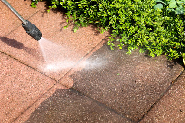 Best Best Pressure Washing Companies  in Thomson, GA